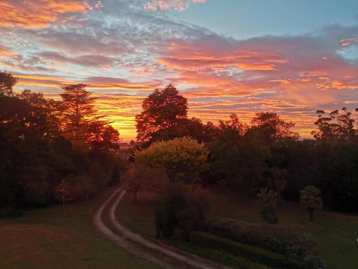 Ashcott Homestead Bed & Breakfast Takapau Kültér fotó